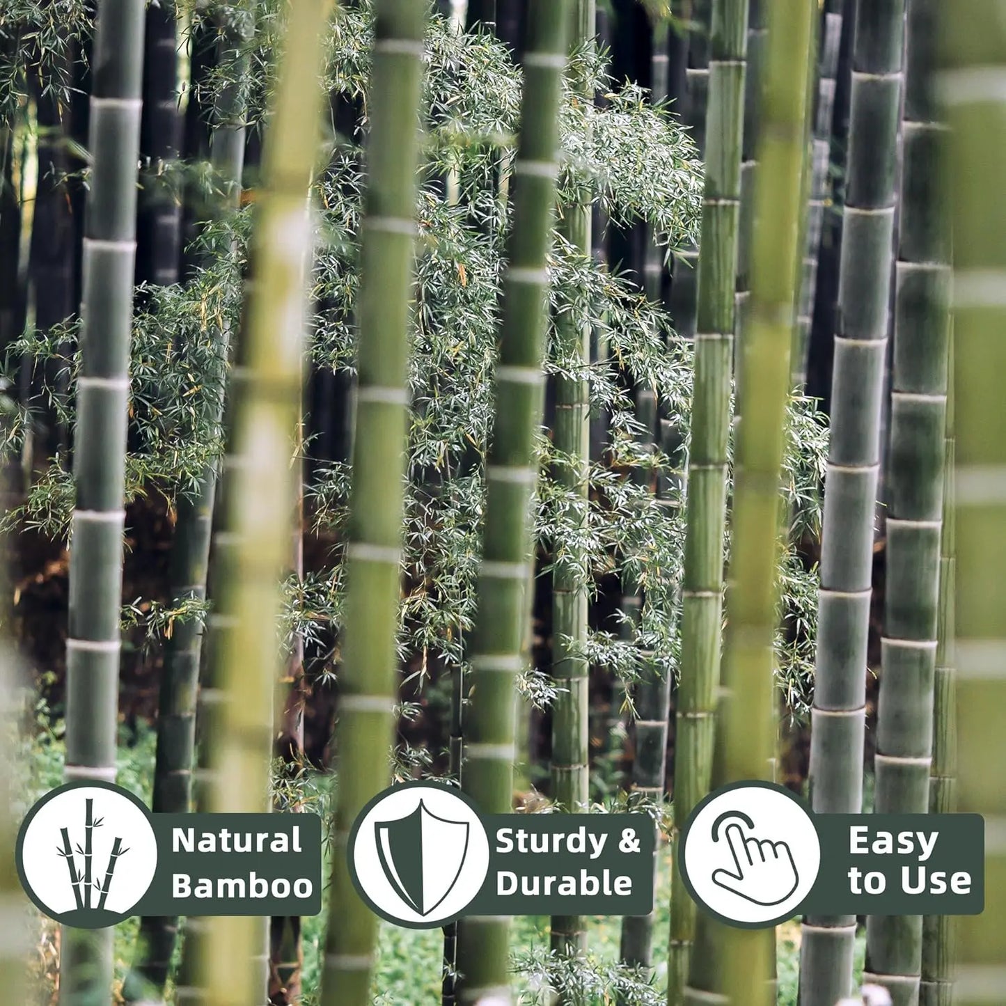 50Pcs / 18 inch Bamboo Plant Stakes