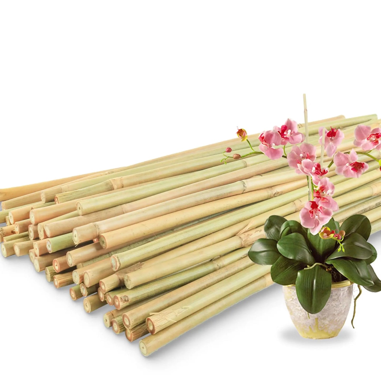 50Pcs / 18 inch Bamboo Plant Stakes
