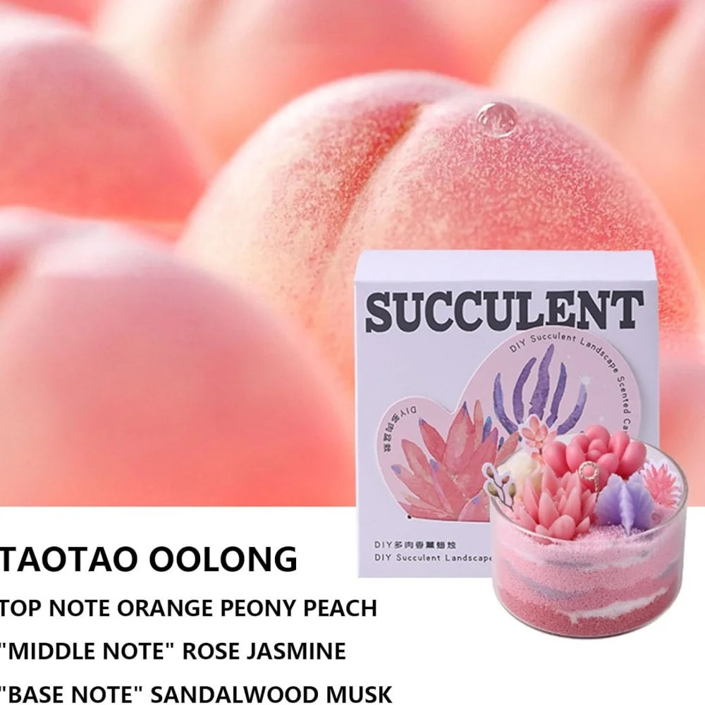 Candle Kit–Succulents DIY Handmade Scented Candles Can Used To Make Candles Scented–Great For Beginner,