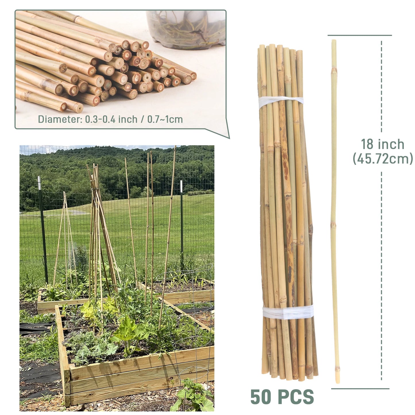 50Pcs / 18 inch Bamboo Plant Stakes