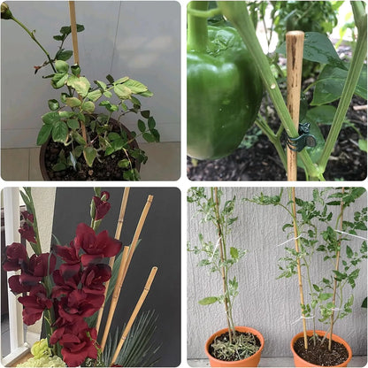 50Pcs / 18 inch Bamboo Plant Stakes