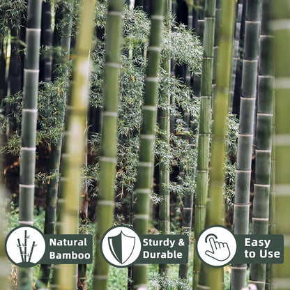 50Pcs / 18 inch Bamboo Plant Stakes