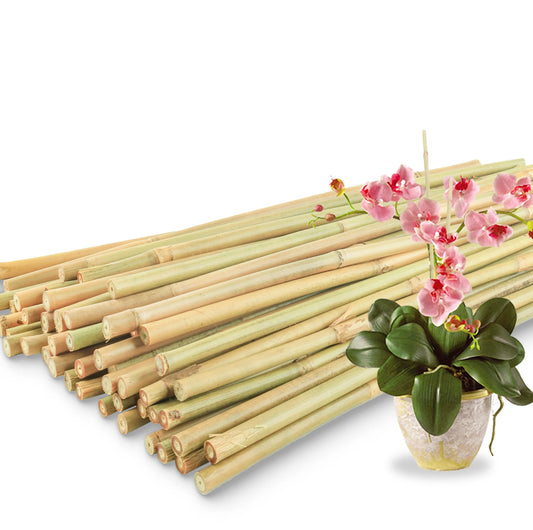 50Pcs / 18 inch Bamboo Plant Stakes