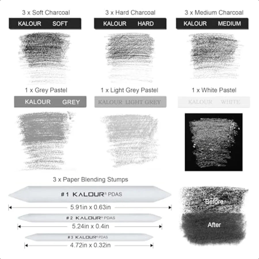 15 Pro Compressed Charcoal Drawing Set with Blending Stumps Soft Medium Hard and White Charcoal Sticks