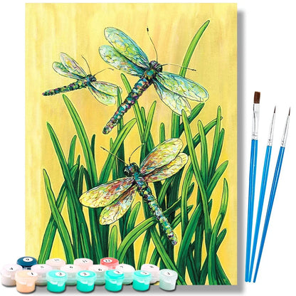 Dragonfly DIY Art Paint By Numbers Kit Hand Painted On Canvas