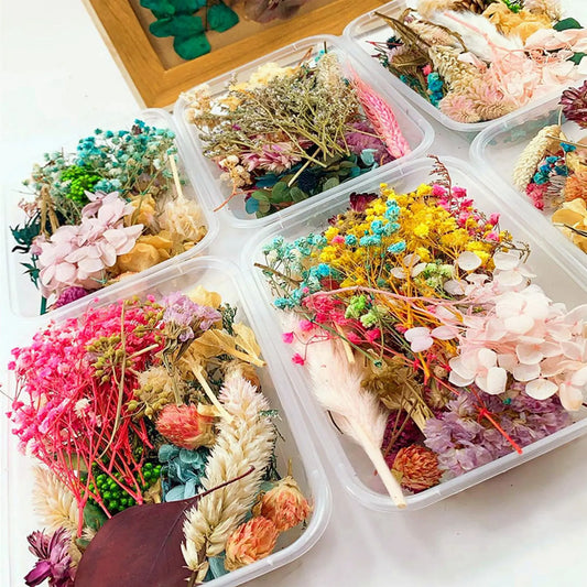 Dried Flowers Natural Floral Art Craft Scrapbooking Resin Jewelry Making mold
