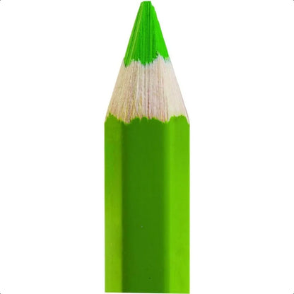 STUBPEN Stubby by Colored Pencils for Set of 48
