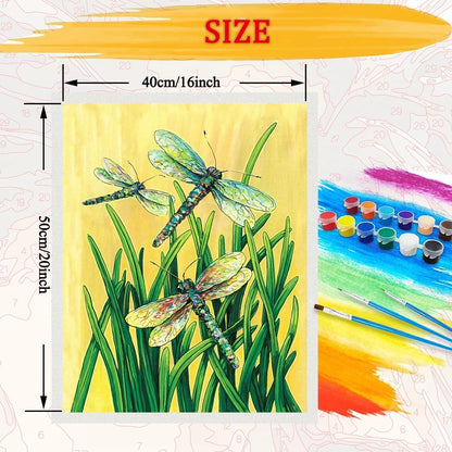 Dragonfly DIY Art Paint By Numbers Kit Hand Painted On Canvas