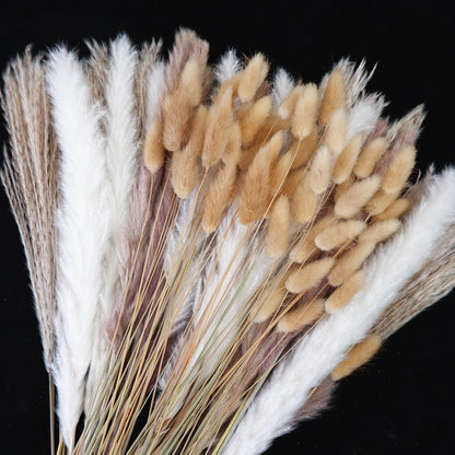 Dried Pampas Grass Decor 80-110 PCS with Bunny Tails Dried Flowers Reed Grass Bouquet Boho Flowers