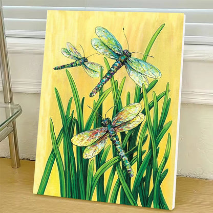 Dragonfly DIY Art Paint By Numbers Kit Hand Painted On Canvas