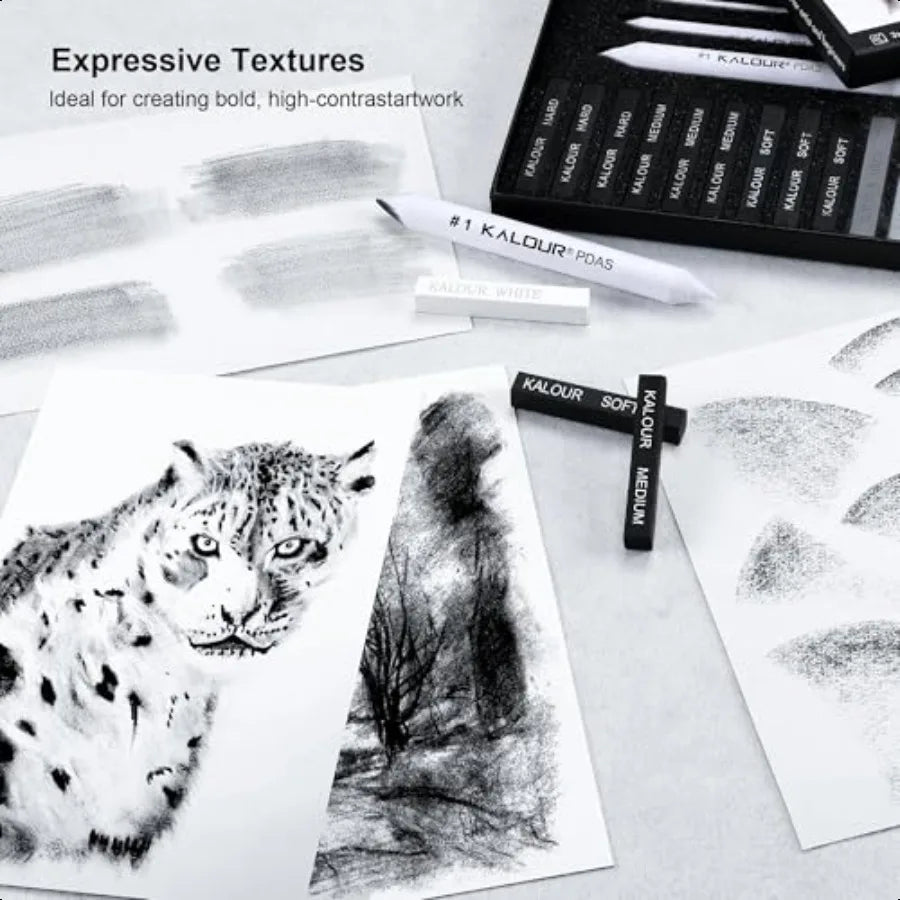 15 Pro Compressed Charcoal Drawing Set with Blending Stumps Soft Medium Hard and White Charcoal Sticks