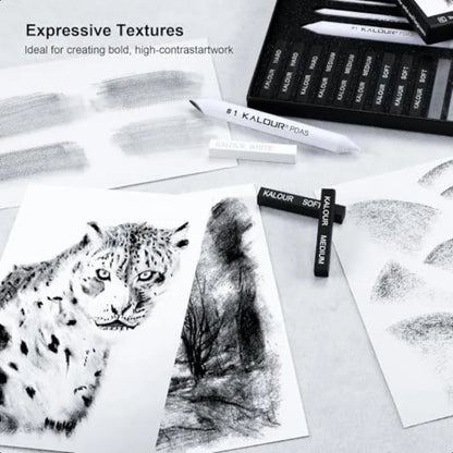 15 Pro Compressed Charcoal Drawing Set with Blending Stumps Soft Medium Hard and White Charcoal Sticks