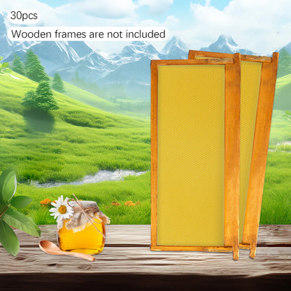 30-Pack Natural Beeswax Hive Foundations Beekeeper's Starter Kit 7.68x16.34" Beekeeping Sheets for Increased Honey Production