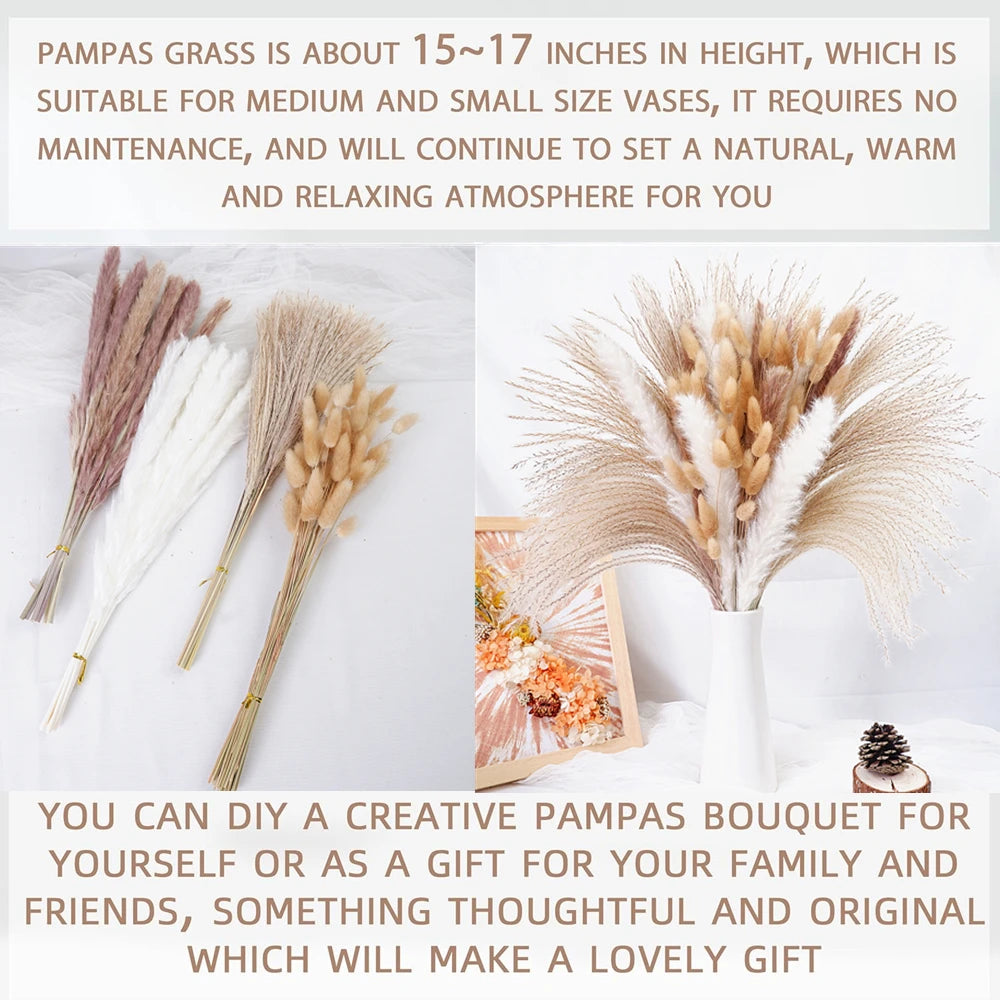 Dried Pampas Grass Decor 80-110 PCS with Bunny Tails Dried Flowers Reed Grass Bouquet Boho Flowers