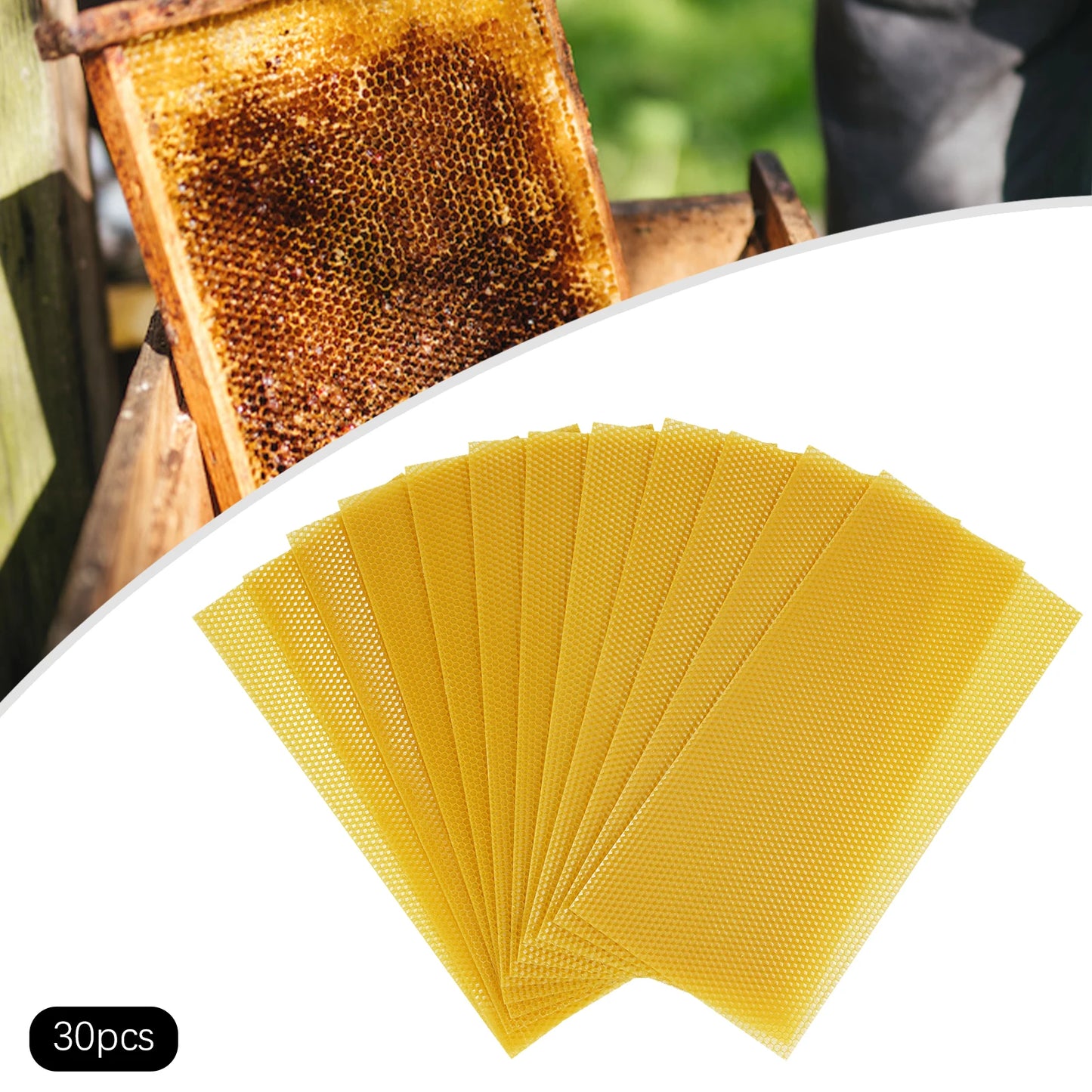 30-Pack Natural Beeswax Hive Foundations Beekeeper's Starter Kit 7.68x16.34" Beekeeping Sheets for Increased Honey Production