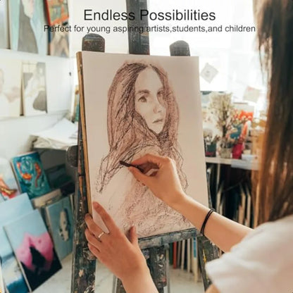 15 Pro Compressed Charcoal Drawing Set with Blending Stumps Soft Medium Hard and White Charcoal Sticks