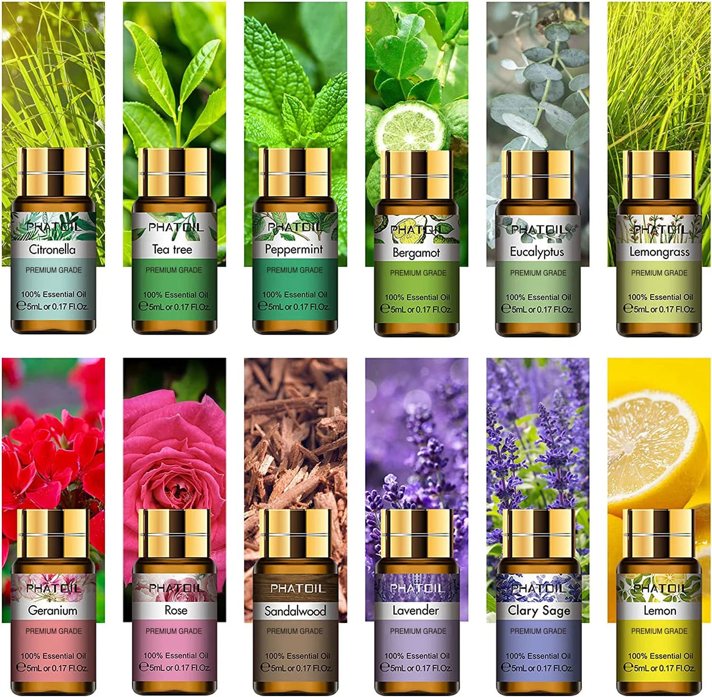 PHATOIL 12pcs Pure Essential Oils Lavender Lemongrass Rose Lemon Geranium Tea tree