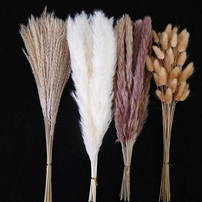 Dried Pampas Grass Decor 80-110 PCS with Bunny Tails Dried Flowers Reed Grass Bouquet Boho Flowers