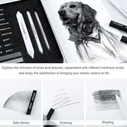 15 Pro Compressed Charcoal Drawing Set with Blending Stumps Soft Medium Hard and White Charcoal Sticks